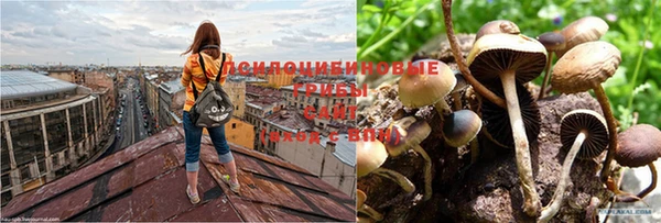 герыч Дубовка