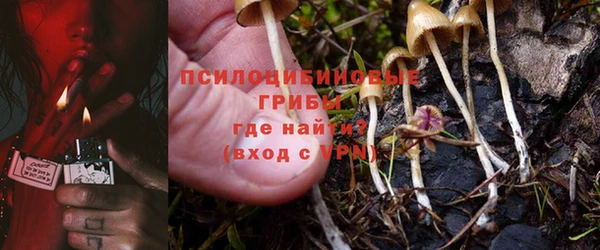 крисы Покачи