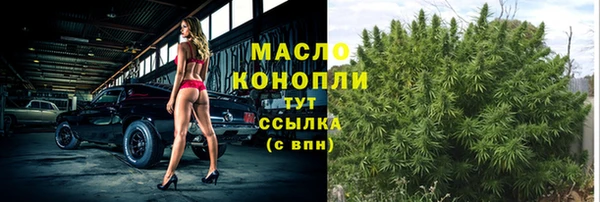 крисы Покачи