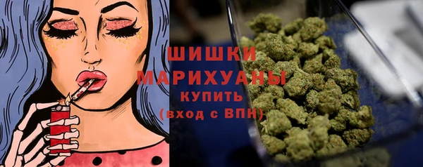 крисы Покачи