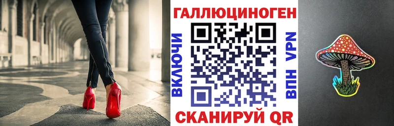 закладки  Покровск  Псилоцибиновые грибы MAGIC MUSHROOMS 
